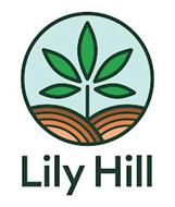 Lily Hill CBD